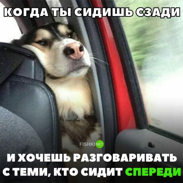 Когда ты сидишь сзади и хочешь разговаривать с теми, кто спереди авто, автомобильный, автоприкол, автоприколы, подборка, прикол, приколы, юмор