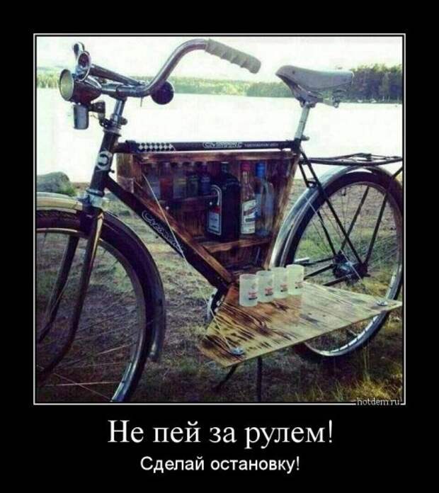 Очередная порция демотиваторов (13 шт)