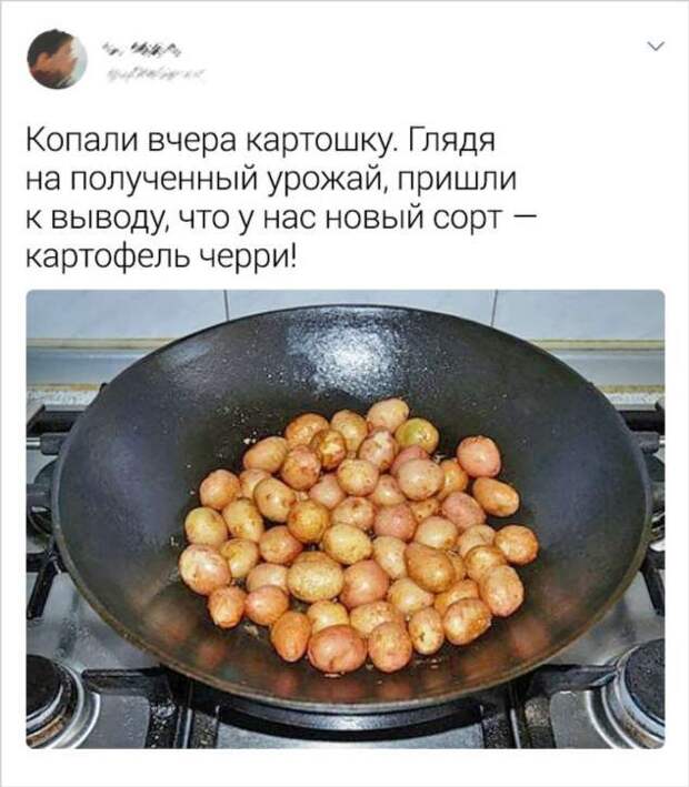 20+ слегка абсурдных ситуаций, которые могли произойти только на даче