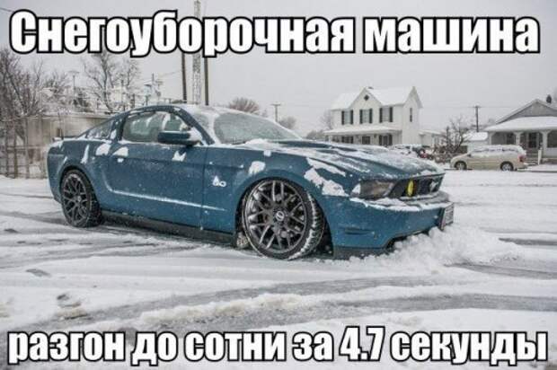 Новая коллекция автоприколов (21 фото)