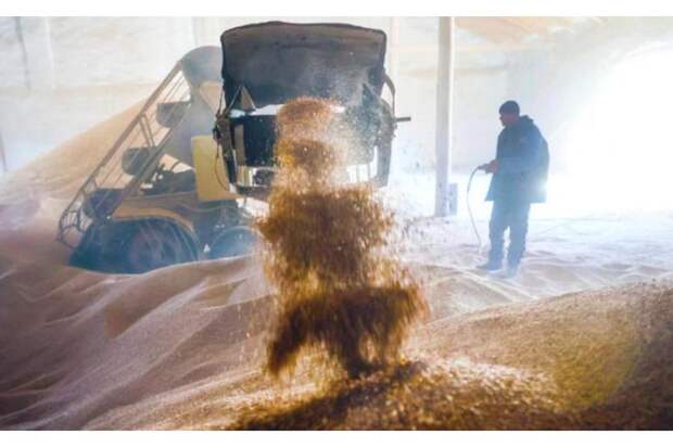 «Путин над нами издевается»: Российская пшеница стала новой нефтью, удобрения — новым газом