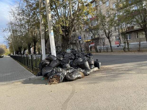 Общегородской субботник пройдёт в Чите