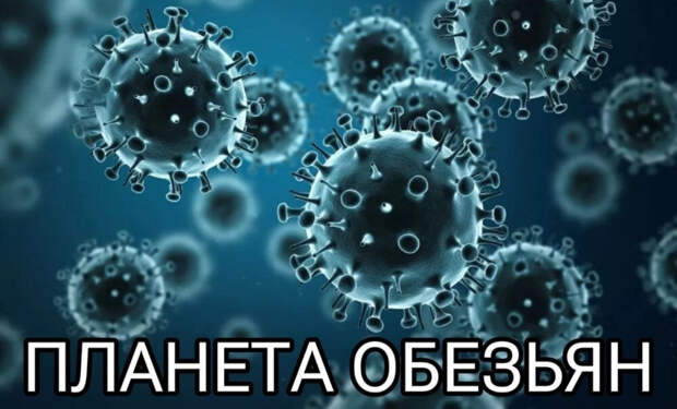 photo_2024-08-14_23-09-10 photo_2024-08-14_23-09-10