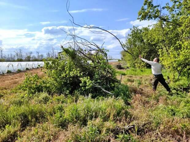 Красногвардейский район активно включился в республиканский субботник: чистота и порядок к майским праздникам