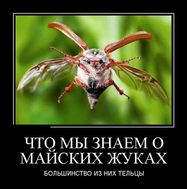Демотиваторы (30 фото)