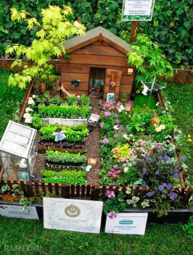 Ландшафтный дизайн участка: миниатюрные сады фей