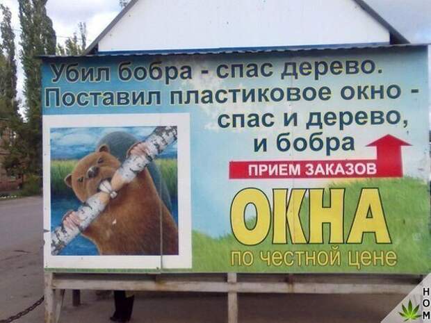 Свежие картинки и фотографии для настроения (12 фото) Свежие картинки и фотографии для настроения (12 фото)