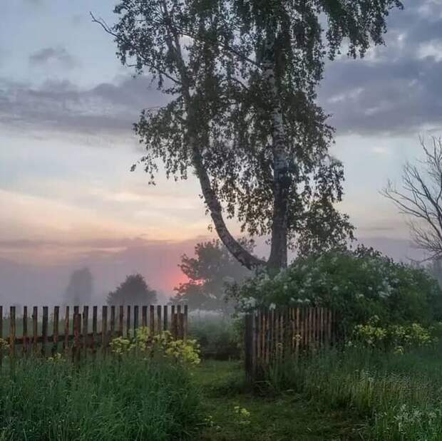 10 ностальгических снимков русской деревни, которые возвращают на мгновение в детство