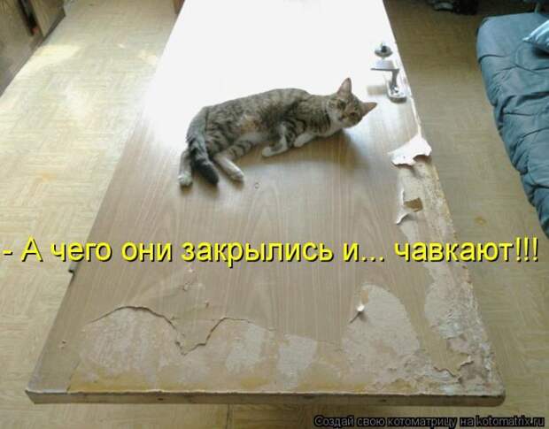 Лучшие котоматрицы недели (50 фото) Лучшие котоматрицы недели (50 фото)