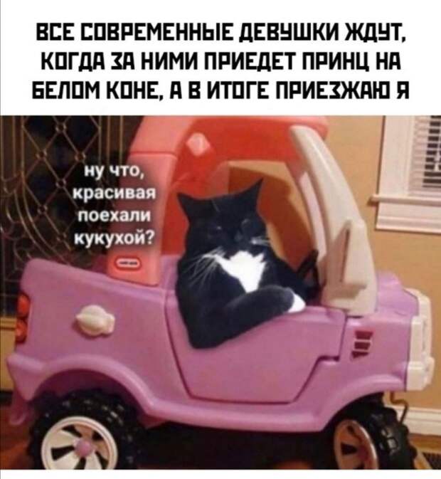 Шутки и мемы про отношения и современных девушек