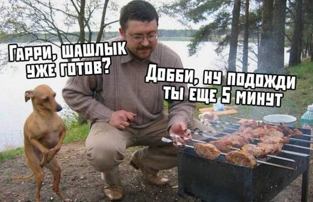 www.vsyako.net