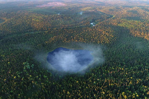 Двинско-Пинежский заказник, как исчезают первозданные леса. Фотографии Игоря Шпиленка