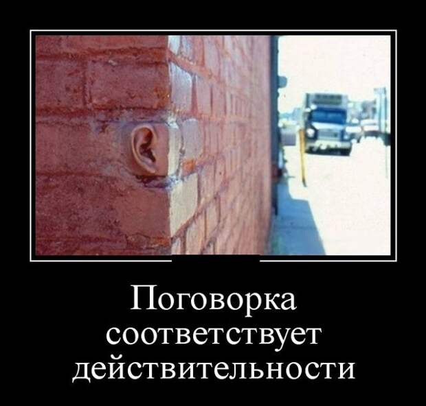 Демотиваторы (30 фото)