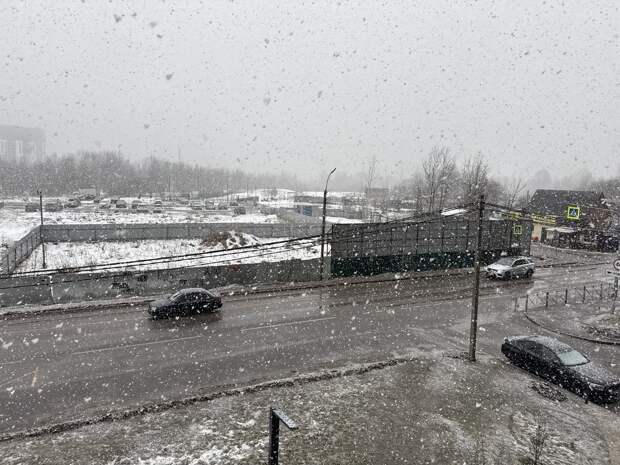 МЧС: в Петербурге 27 апреля ожидается сильный ветер и гололедица