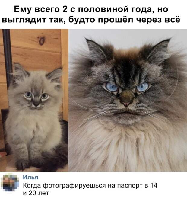 Подборка картинок. Дневной выпуск (20 фото)