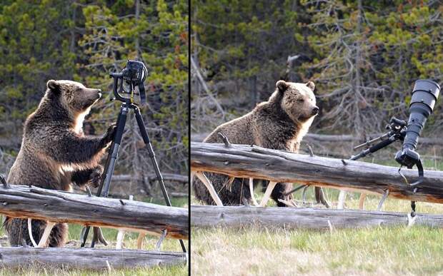 Животные в фотографиях: 21-27 мая 2012 (25 фото) Животные в фотографиях: 21-27 мая 2012 (25 фото)