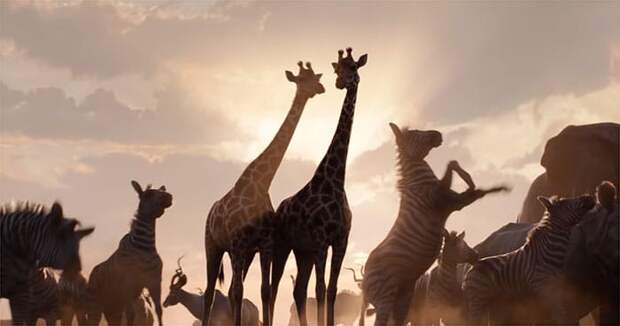 The Lion King Teaser