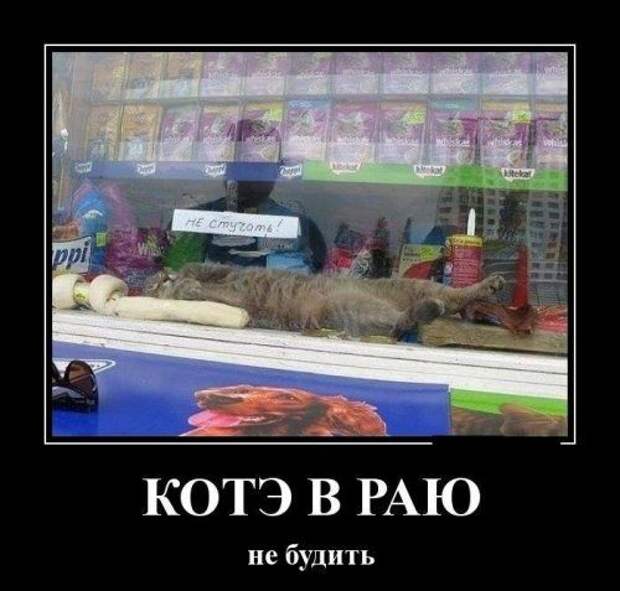 Прикольные постпраздничные картинки