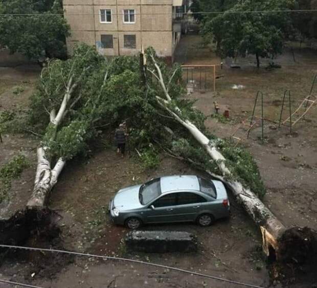 два тополя упали рядом с авто