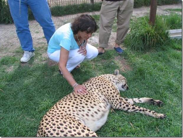 extreme-zoo_29_(funnypagenet.com)