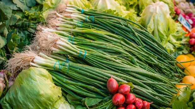 Польза и вред лука: сколько есть и в каком виде