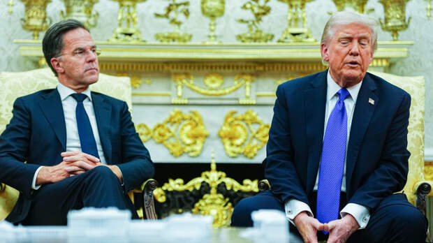 Трамп и Рютте обсудят возможный выход США из НАТО