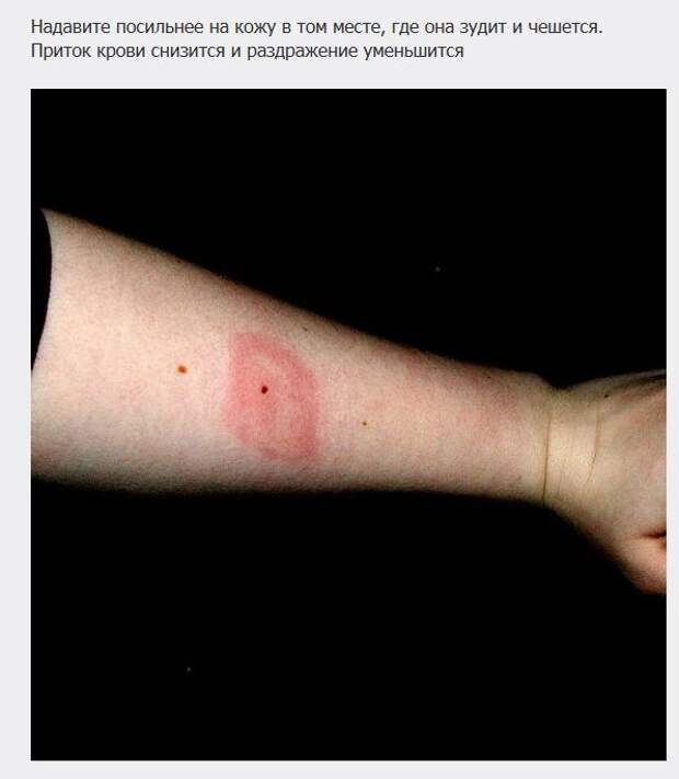 Отличные советы, которые сделают жизнь проще (20 фото)