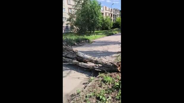 Video: Клип @donetskdnr_vk