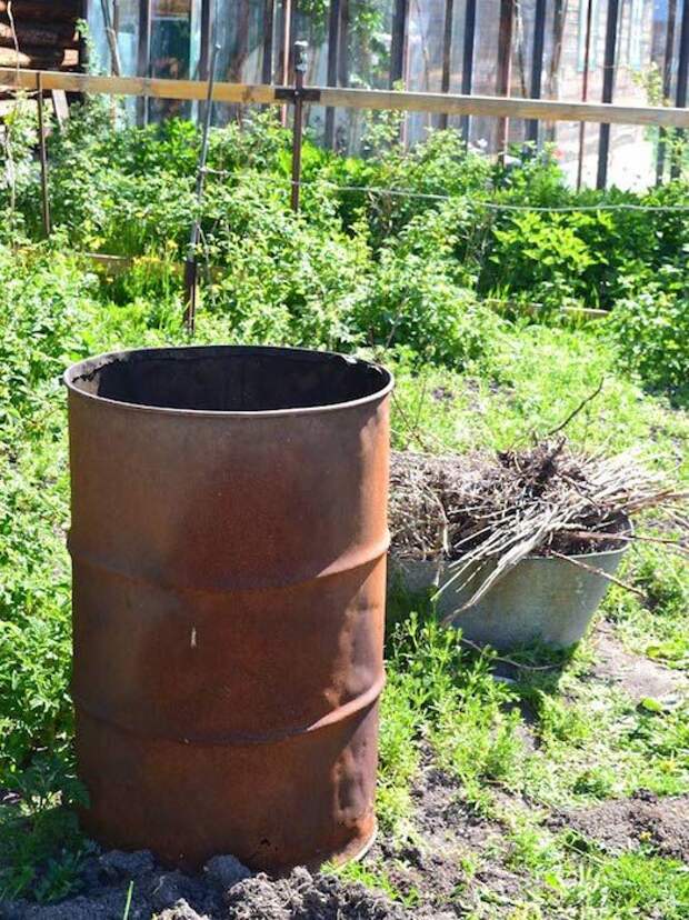 Для парника понадобится крупный контейнер. Для парника понадобится крупный контейнер.