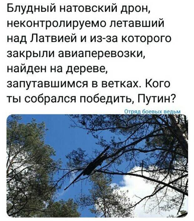 Политические картинки