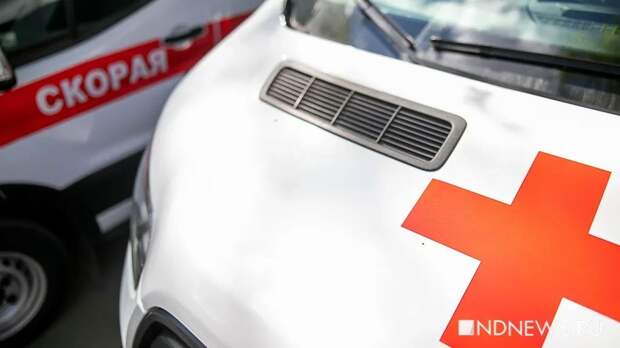 В Петербурге и Ленобласти приостановлена работа 47 детсадов из-за вспышки сальмонеллеза