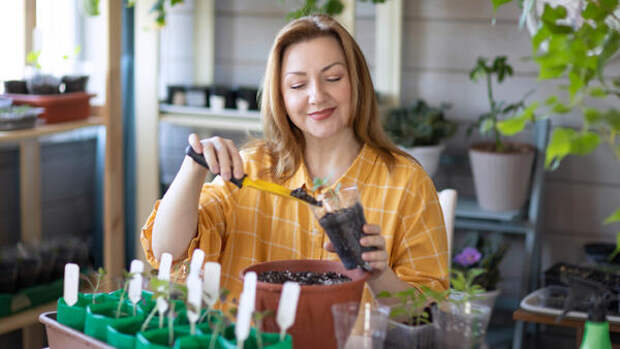 Соседи обзавидуются урожаю: овощи, зелень и цветы, которые нужно сажать на рассаду в марте