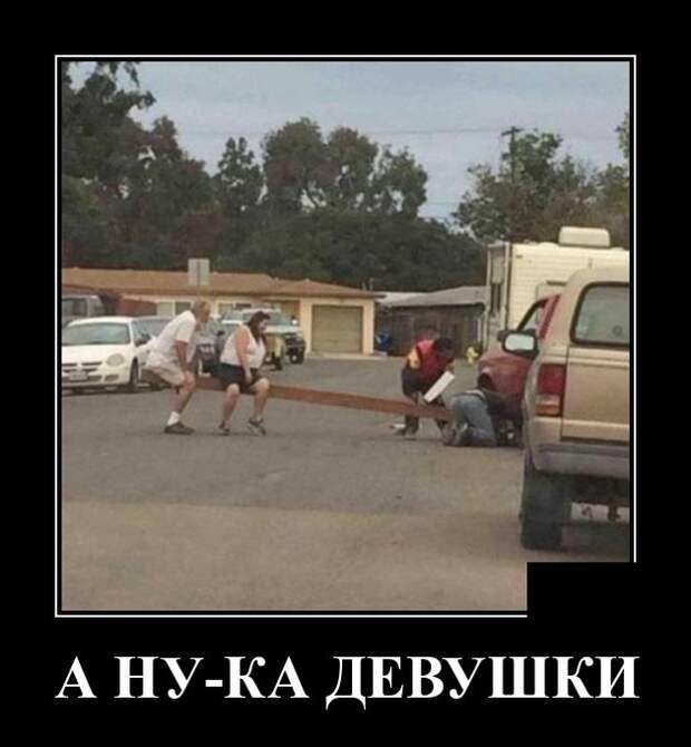 Демотиваторы (30 фото)