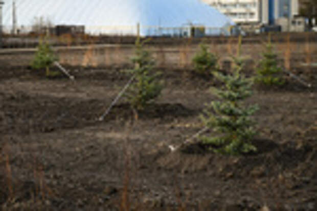 Благоустройство нового парка за ТЦ 