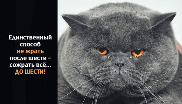 Совет дня