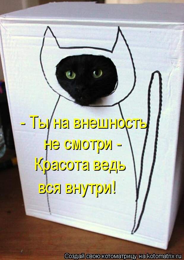 Котоматрица - - Ты на внешность  не смотри -  Красота ведь вся внутри!