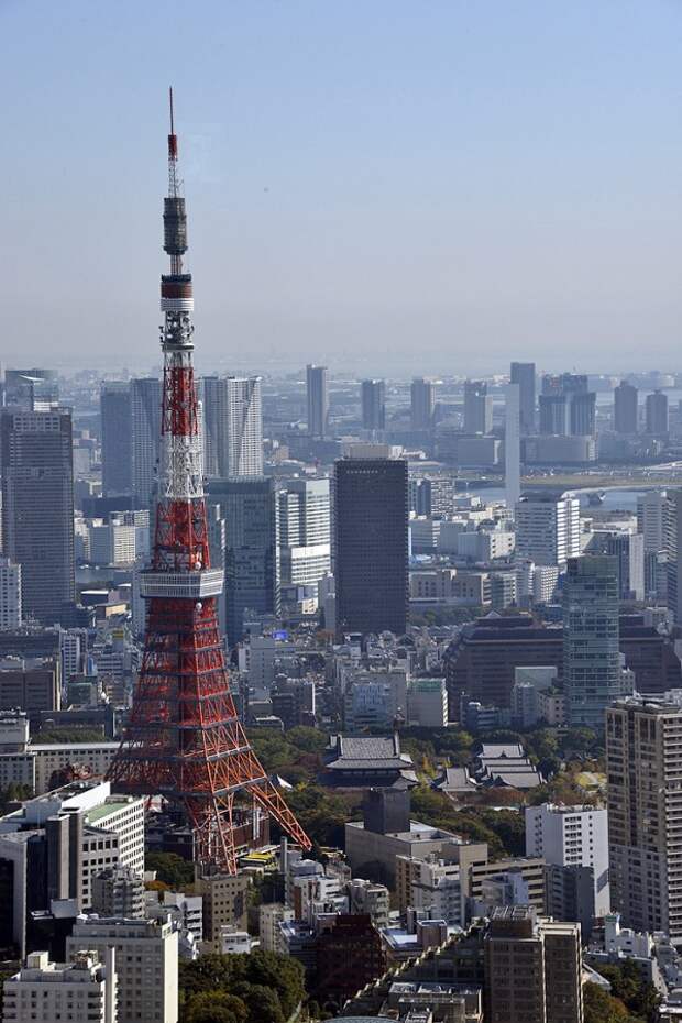 Япония: Токио Japan.Tokio17 Япония: Токио