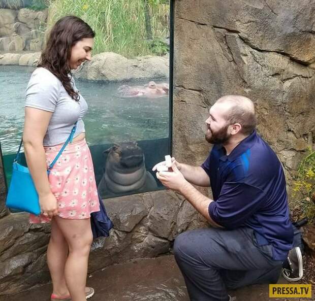 Прикольные фотографии