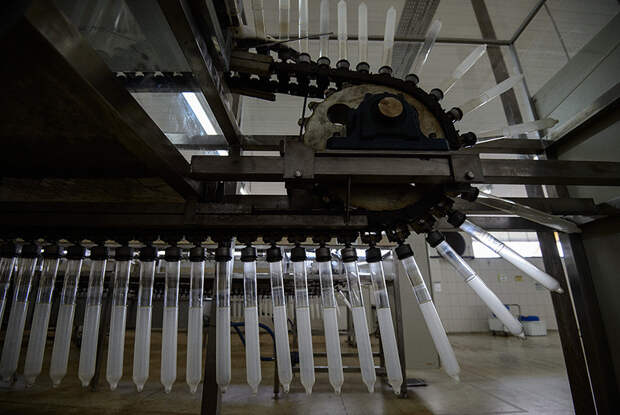 Амазонская фабрика любви: Фоторепортаж из единственного в мире этичного производства презервативов