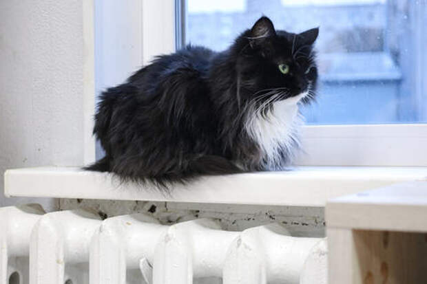 Жители Кубани замерзают в квартирах, но платят. Как по закону добиться перерасчёта за холод по скрытой формуле