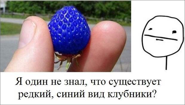 Всяко - разно 6  )))