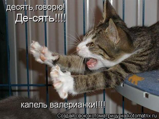 десять,говорю! Де-сять!!!! капель валерианки!!!!