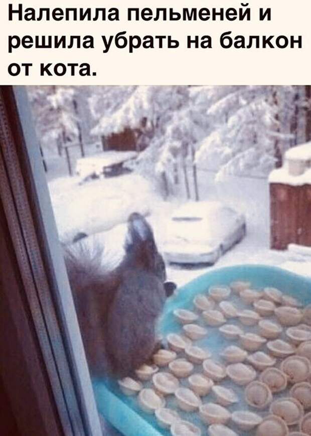 Убрала от кота Убрала от кота