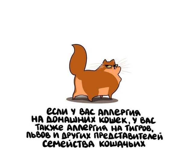 Короткие интересные факты на все случаи жизни