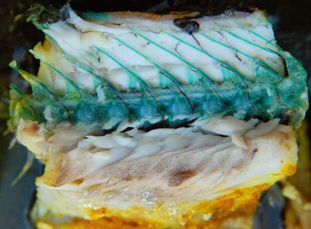 А вот у рыбы сарган кости зеленые из-за повышенного содержания биливердина интересное, кости, невероятно, познавательно, удивительно, факты