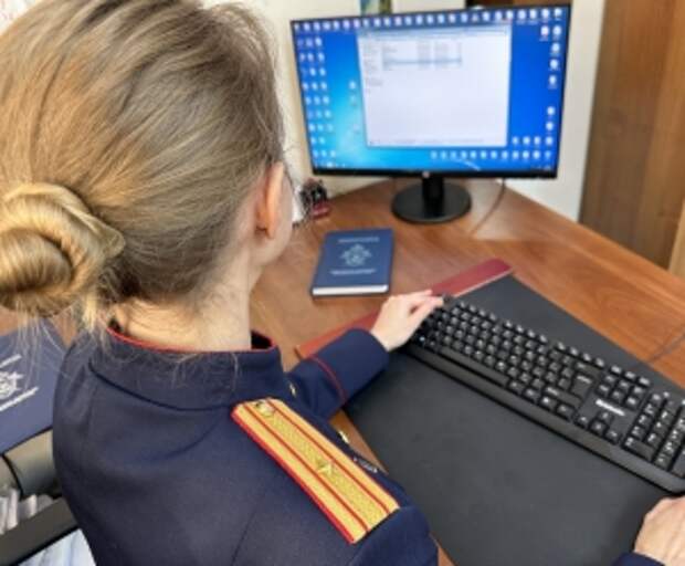 В центральный аппарат СК России доложат о расследовании уголовного дела по факту хулиганских действий подростков в Приморском крае