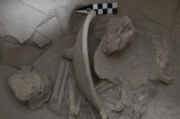 Разгадан сакральный смысл детских захоронений майя