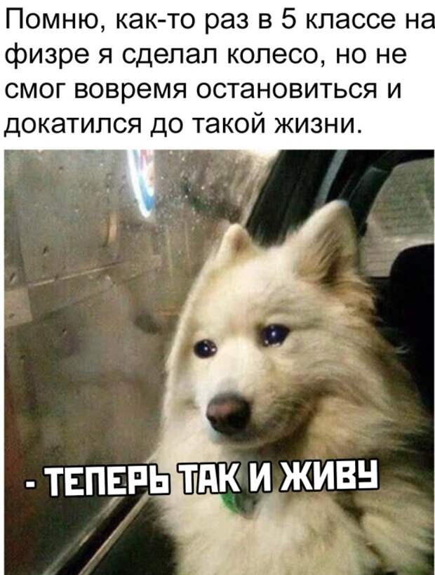 Подборка картинок. Вечерний выпуск (20 фото)