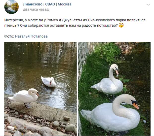 Ромео и Джульетта из Лианозова попали под прицел папарацци