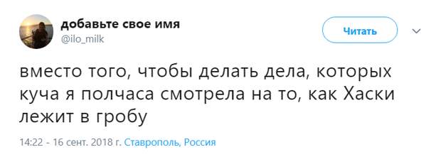 похороны Хаски